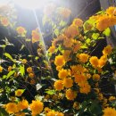 남도 태권도장 이미지