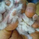 다사종합동물병원 이미지