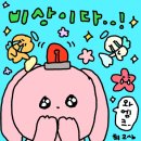 수지 노래연습장 | 강릉 → (속초) → 성남