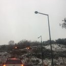 아이리스중화요리 이미지