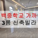 신백중학교
