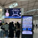 창수오빠 | 산동항공으로 2번 경유한 후기 | 인천공항 산동항공...공항 환승, 입국심사, 창수이공항 디디탑승하는 법