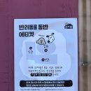 춘천| 감자밭 주말 방문 후기