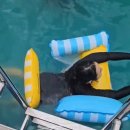 일러스라인 이미지