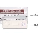 메일리데이 이미지