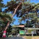 기회송림 화장실 이미지