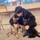 반려견과 더불어 사는 법 | 숨고후기)반려견과 더불어 사는 법: 애견훈련 성공기