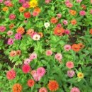 삼익1공인중개사사무소 이미지