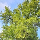 (주)오세요 이미지