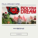 드림팜 | [파주드림팜] 딸기농장 체험후기🍓
