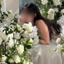 서초대로52길 3-8 | [본식 2개월 남긴 예신의 팔뚝 무한람스 365mc 교대점 찐후기] - 상담, 가격, 스펙, 라인변화 맛보기...