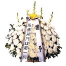 봉암동011 이미지