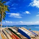 낙원A목장 | 하와이 오아후 일일투어, 단 한가족만 위한 여유로운 섬일주