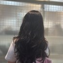 미장원339 이미지