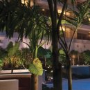 해비치 힐 이미지