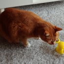 파인드스토리 이미지