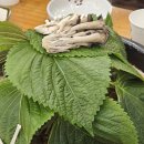 가마솥뼈다귀감자탕 | 안양인덕원맛집 옛골가마솥뼈다귀 감자탕 내돈내산 후기