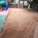 대구장성초등학교 이미지