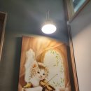 진수동물병원 이미지