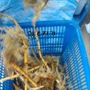 이명은 농장 이미지