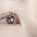 올래쉬 ALLASH