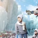 알프스마을영농조합법인 이미지