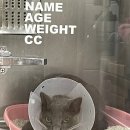 멘토동물병원 이미지