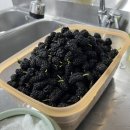 운심농장 이미지