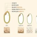 오분도미 뜻 오분도미쌀 칼로리, 효능 및 차이점 이미지