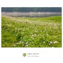 호숫가의 풍경 이미지