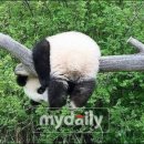 팬더 - 수원시 권선구 세권로 216 | 팬더