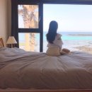 더들집 2 이미지