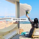 틈바구니(친구네 펜션) | 강릉 펜션 추천 오션뷰 감성 숙소 강원도 대형펜션 해변을담다 피크닉