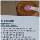 배가네수공업