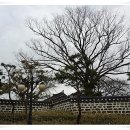 태안읍사무소 이미지