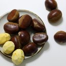 효성농원