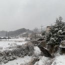 하얀세상 이미지