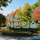 2019038 네이버블로그