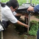 김경희농장 이미지