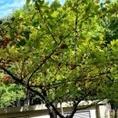 대우1차아파트 경로당 이미지