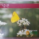 수북농협주유소 이미지