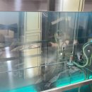 주식회사 크린바이오 이미지