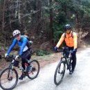 여수공원로 이미지