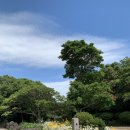 차롱스 | (제주) 제주도 자유여행 정리 끝판왕 -일정,준비물,숙소,예약,꿀팁,지도 [ 한방에 총정리 ]