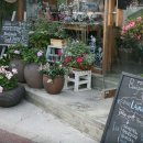 벤자민&데이지 이미지