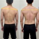 사파동235 이미지