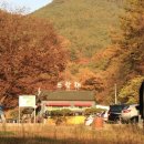 강천산 캠핑 이미지