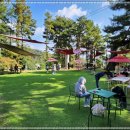 더블링독 이미지