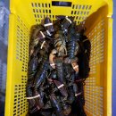 안성실내바다낚시터 이미지