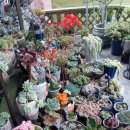 화원펜션 이미지